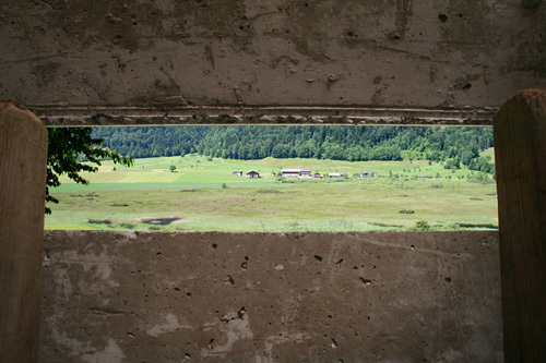 Ein Foto von Norbert Steiner